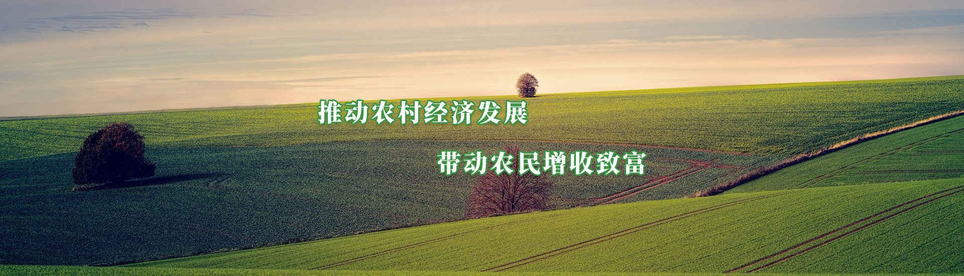 CQ9电子·(中国)唯一官方网站