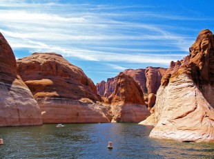 农业农村部：增强实验室生物清静管理 包管畜牧业生产清静