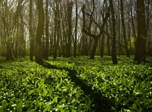 访农户，，，，，送手艺！ “中国农资”现代农业服务团队助力秋粮生产