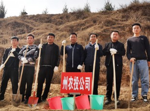 cq9电子官网入口加入2021年春季义务植树运动