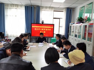 cq9电子官网入口  举行党史学习教育第三期念书班