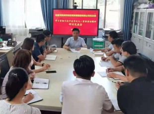 cq9电子官网入口 召开学习贯彻习近平总书记七一主要讲话精神 钻研交流会