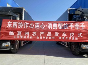 临夏cq9电子官网入口集团举行“工具协作心连心·消耗帮扶手牵手”农产品发车仪式
