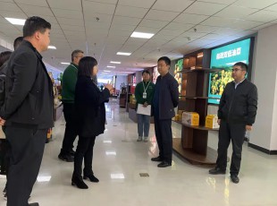 cq9电子官网入口集团在水发农投通道物流公司、河州力量公司调研